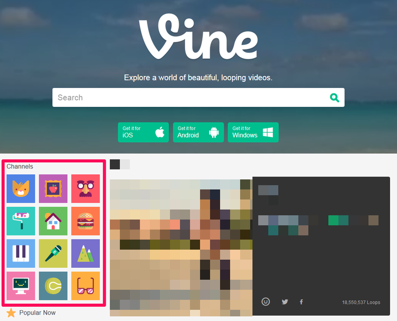 Vine01