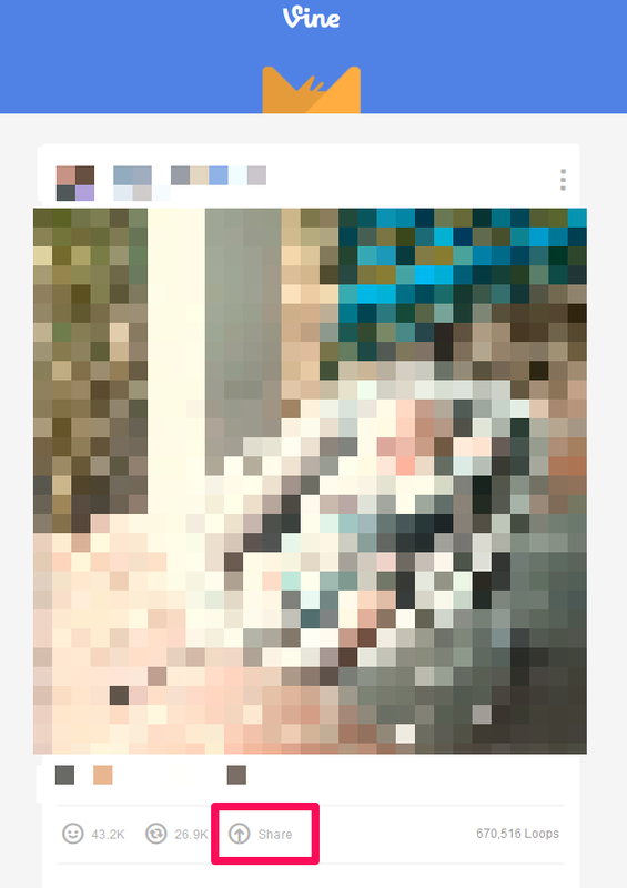 Vine02
