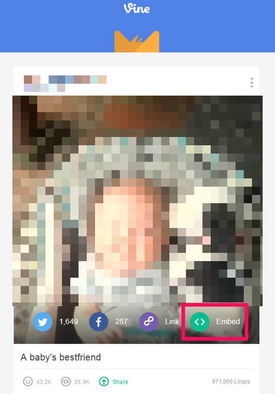 Vine03