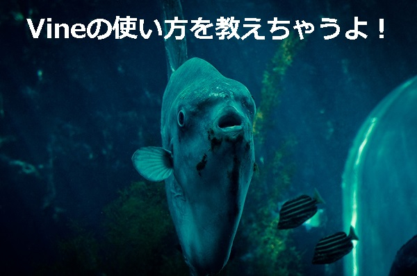 Ell86_ganmimanbou20140408500